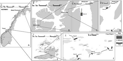 Attraction and avoidance of wild demersal fish and crustaceans to open-net aquaculture pens resolved by baited and towed underwater camera surveys
